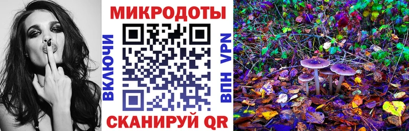 Купить закладки Чаплыгин Псилоцибиновые грибы Cubensis